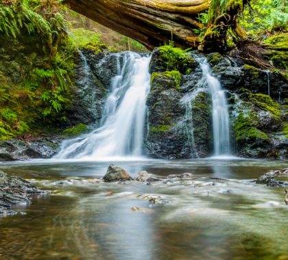 Kleiner Wasserfall inmitten der Natur steht für Nachhaltigkeit