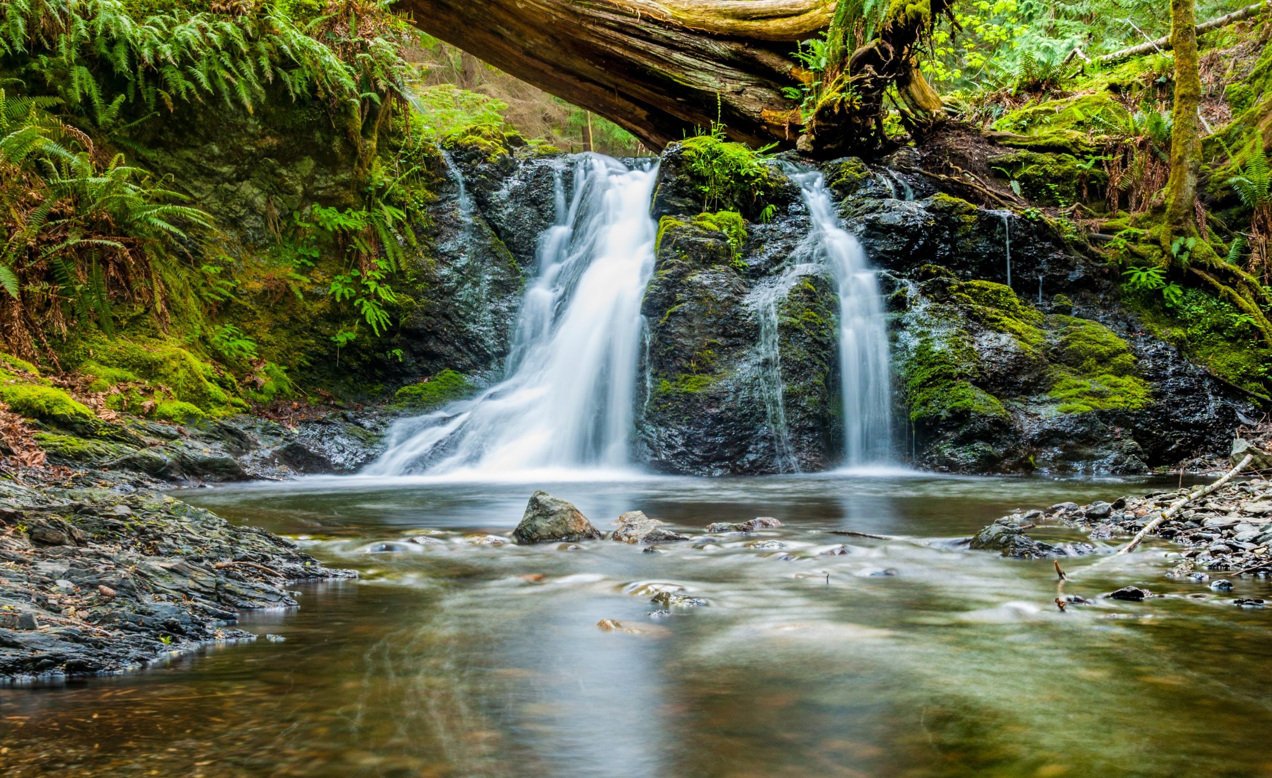 Kleiner Wasserfall inmitten der Natur steht für Nachhaltigkeit