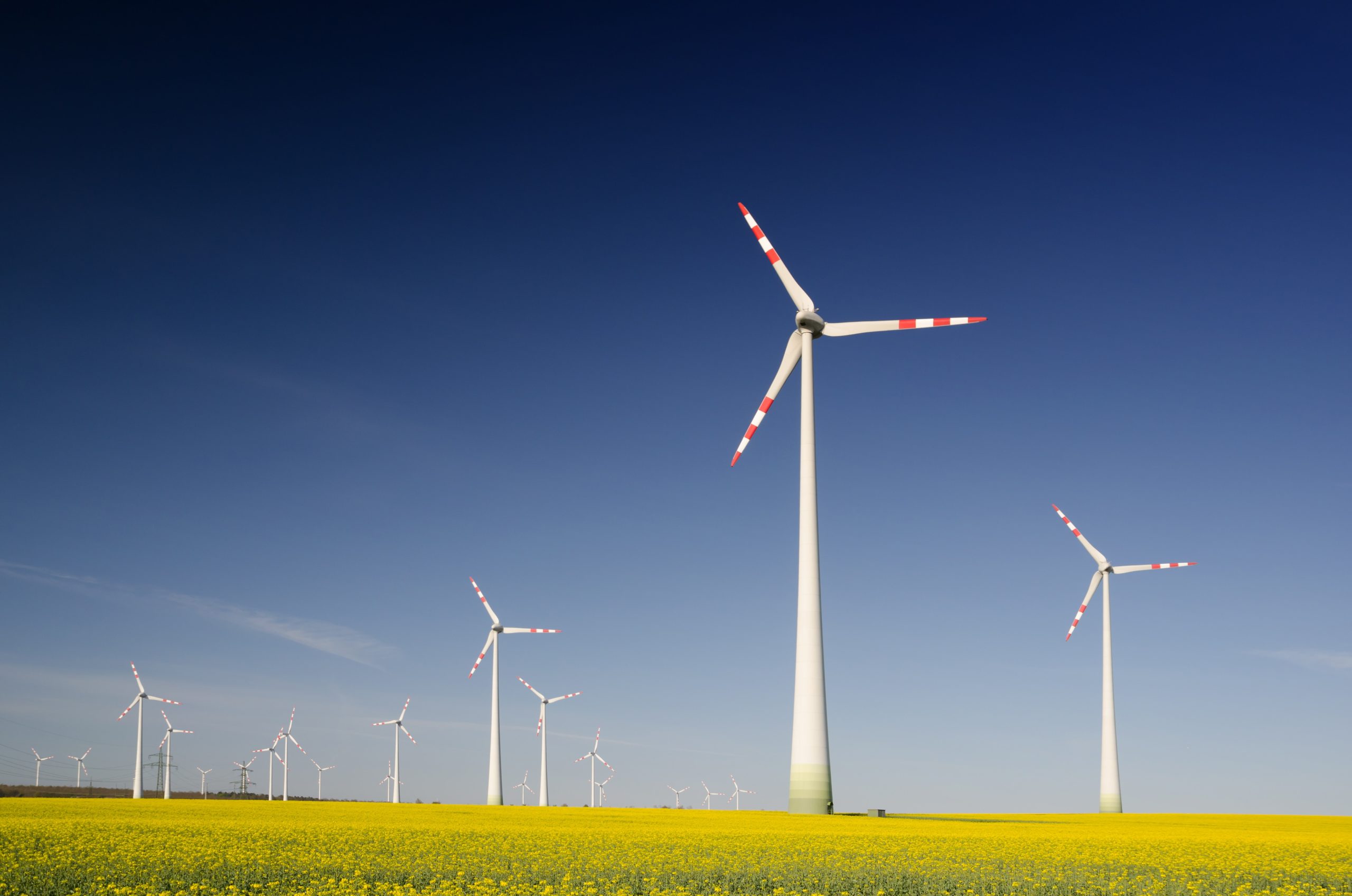 mehrere Windkraftanlagen auf einem Feld