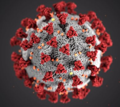 3D Bild von einem Virus