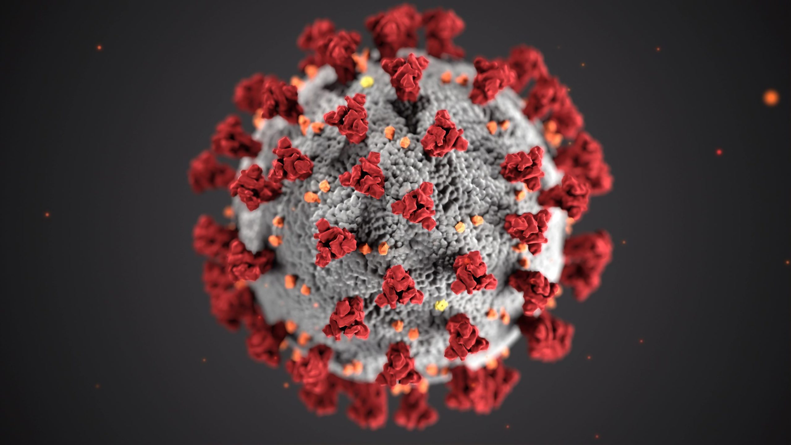 3D Bild von einem Virus