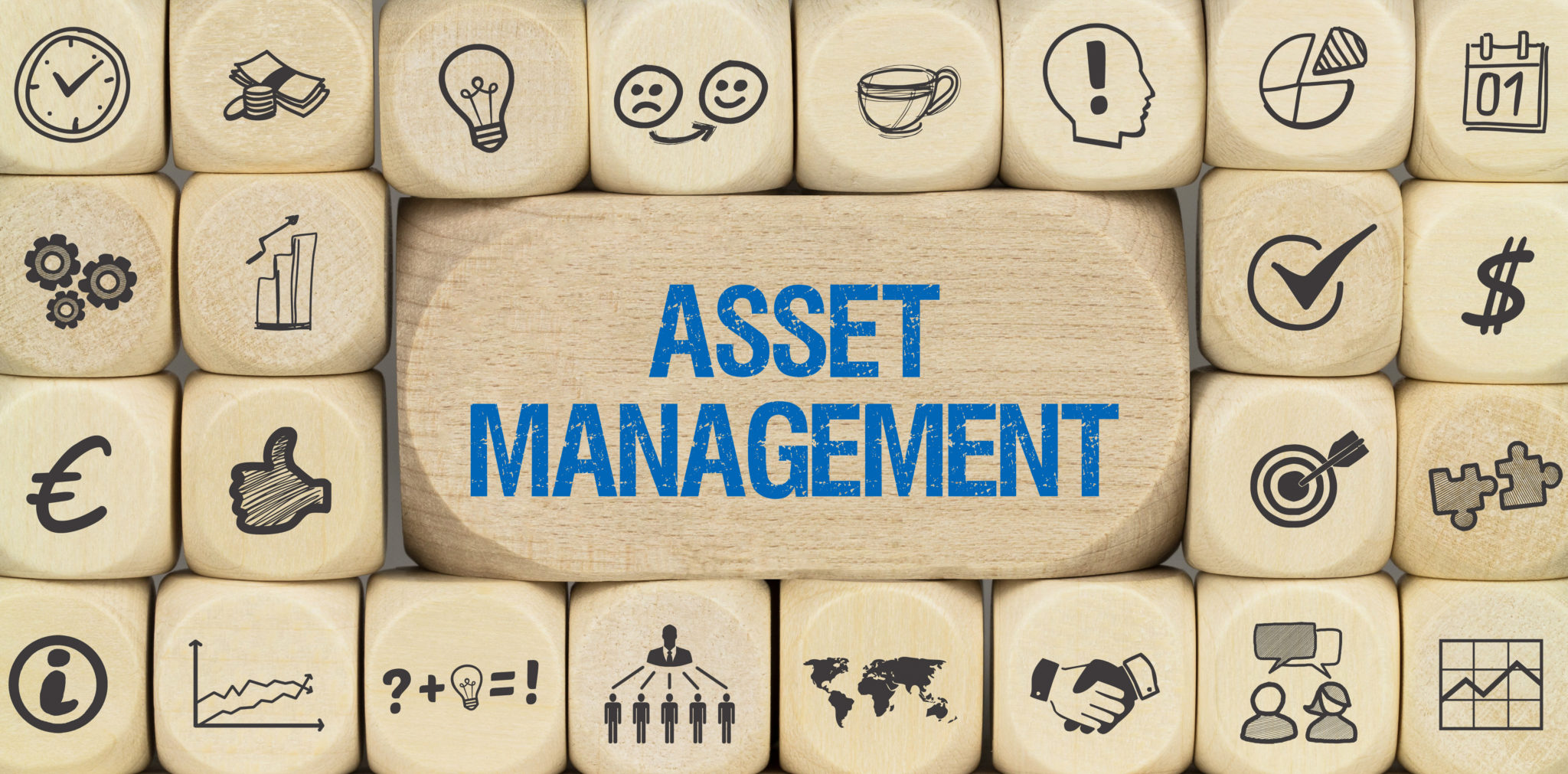Asset Management | Banking | Consileon