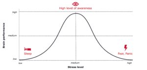 Digital Mindset stress levels and performance