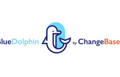 Blue Dolphin, Bottleneck management, agile transformation, selbstorganisation