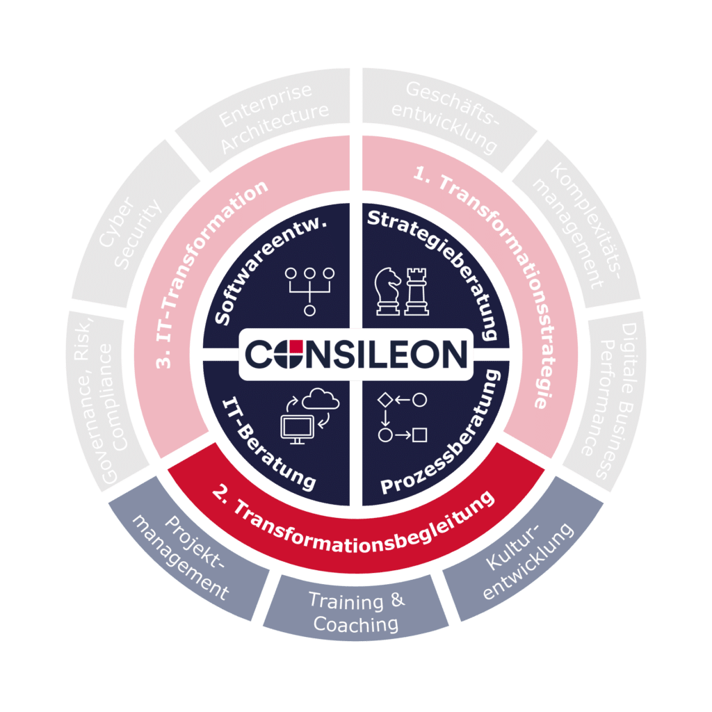 Supporting Transformation Transformation support | Consileon